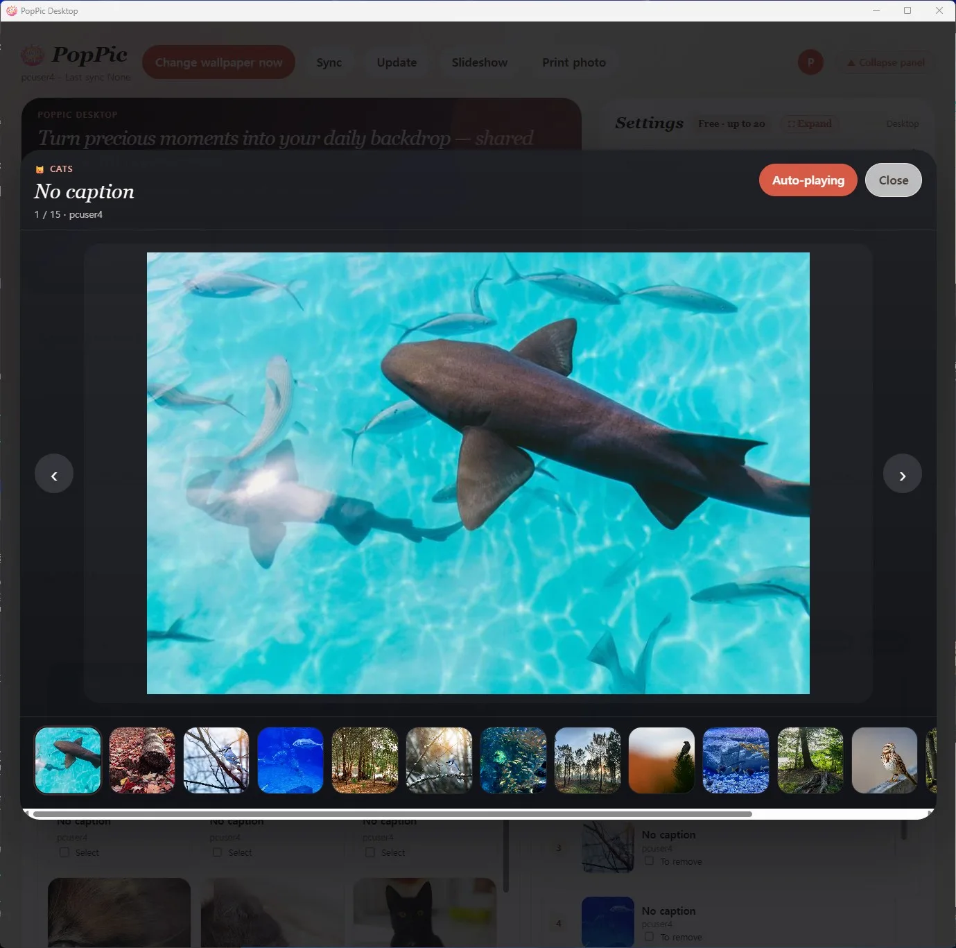 Full-screen slideshows that bring memories back