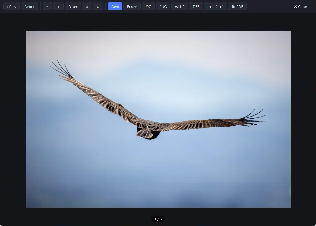 Image Viewer — every photo, in full detail