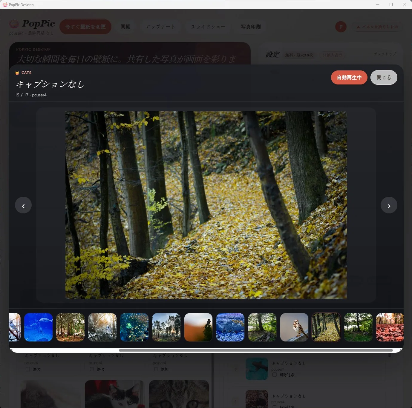 Print Studio — デジタルを実物プリントへ